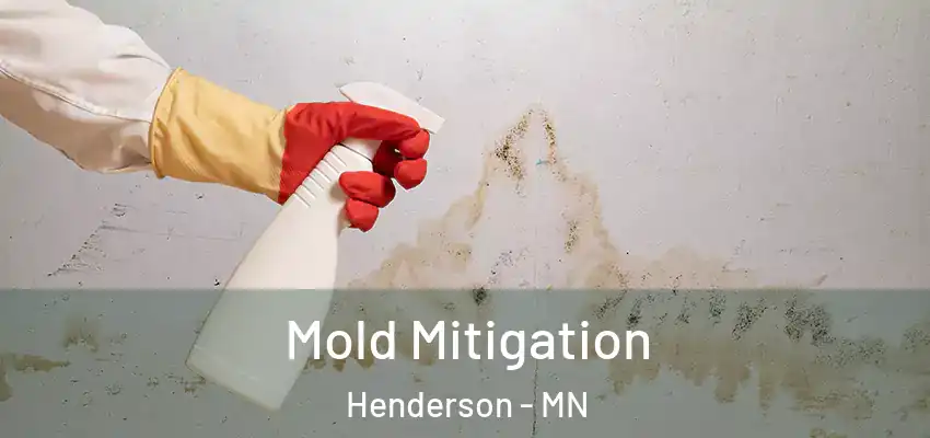 Mold Mitigation Henderson - MN