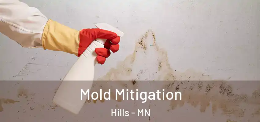 Mold Mitigation Hills - MN