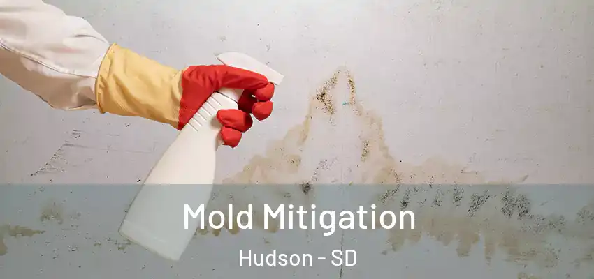 Mold Mitigation Hudson - SD