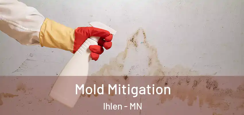 Mold Mitigation Ihlen - MN