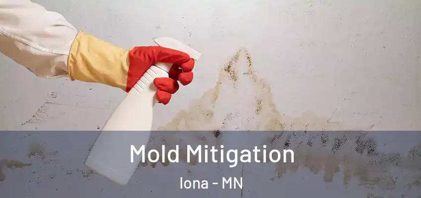 Mold Mitigation Iona - MN