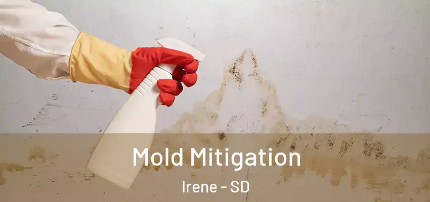 Mold Mitigation Irene - SD