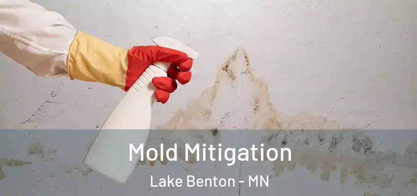  Mold Mitigation Lake Benton - MN