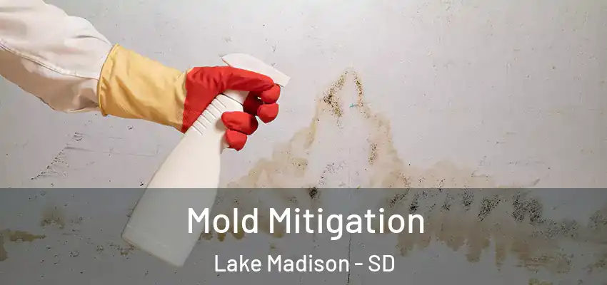  Mold Mitigation Lake Madison - SD