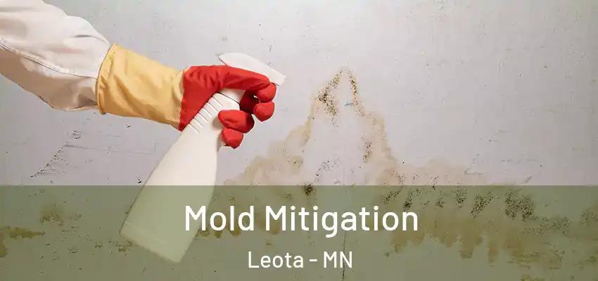 Mold Mitigation Leota - MN