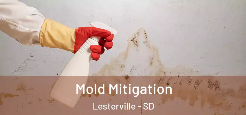 Mold Mitigation Lesterville - SD