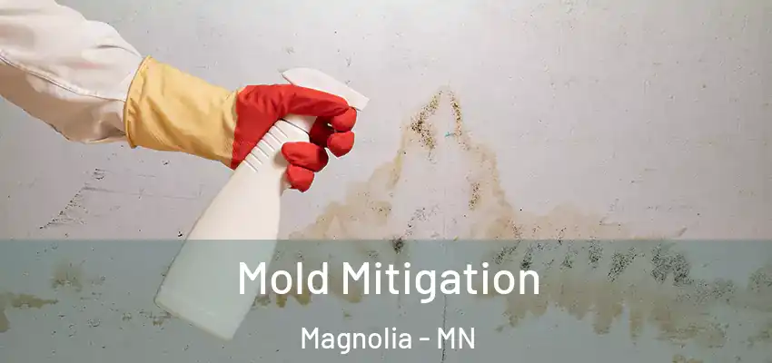  Mold Mitigation Magnolia - MN