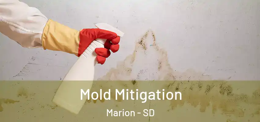 Mold Mitigation Marion - SD