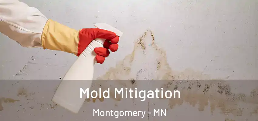 Mold Mitigation Montgomery - MN