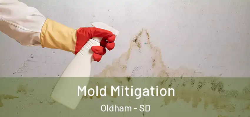  Mold Mitigation Oldham - SD