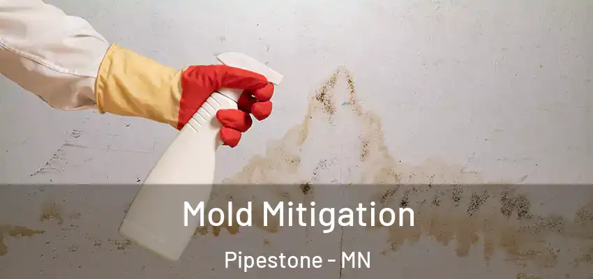 Mold Mitigation Pipestone - MN