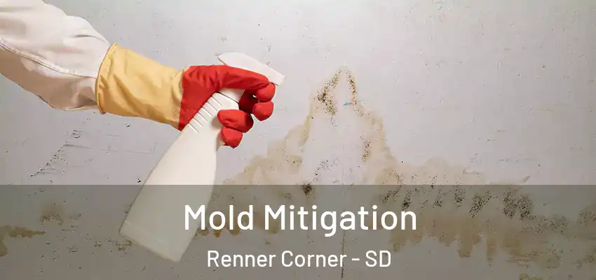 Mold Mitigation Renner Corner - SD