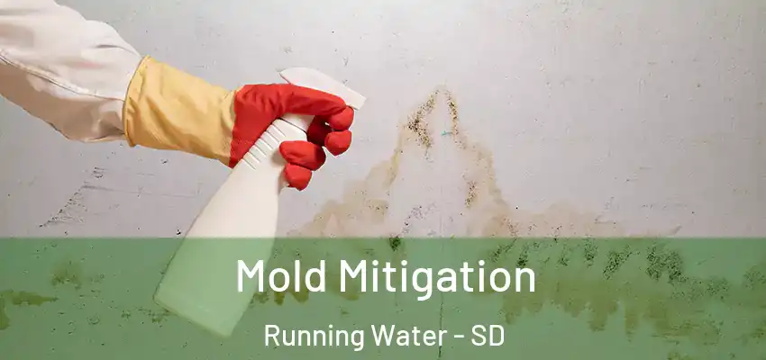 Mold Mitigation Running Water - SD