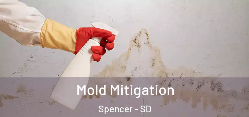  Mold Mitigation Spencer - SD