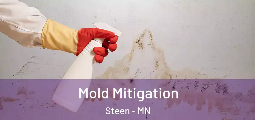 Mold Mitigation Steen - MN