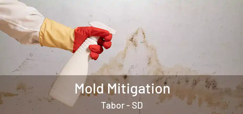 Mold Mitigation Tabor - SD