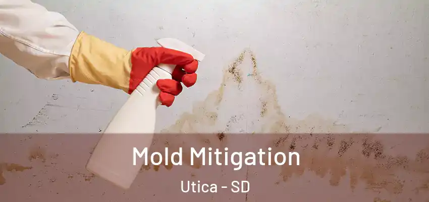 Mold Mitigation Utica - SD