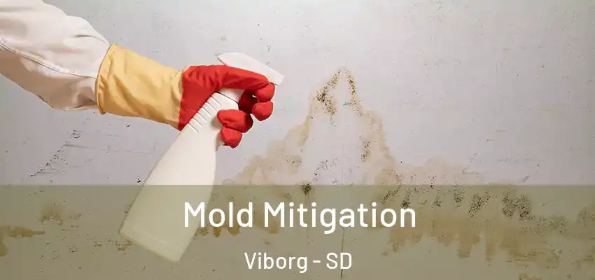 Mold Mitigation Viborg - SD