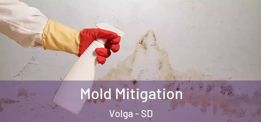  Mold Mitigation Volga - SD