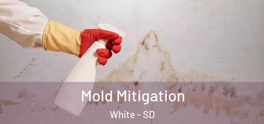 Mold Mitigation White - SD
