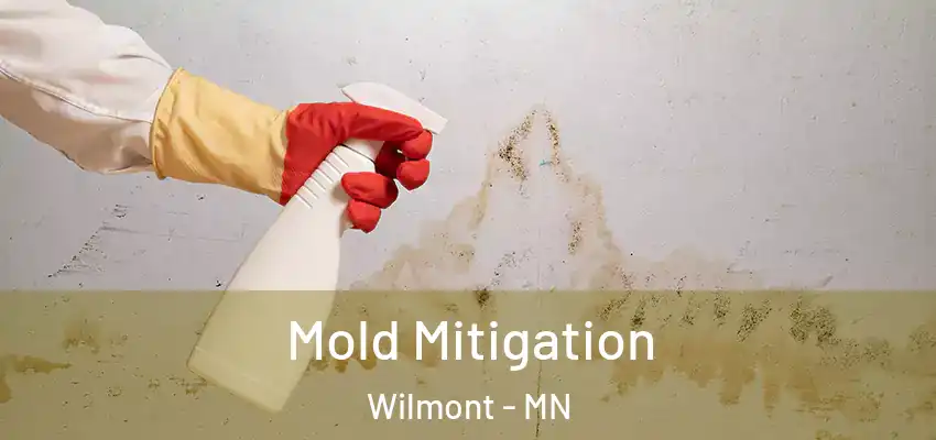 Mold Mitigation Wilmont - MN