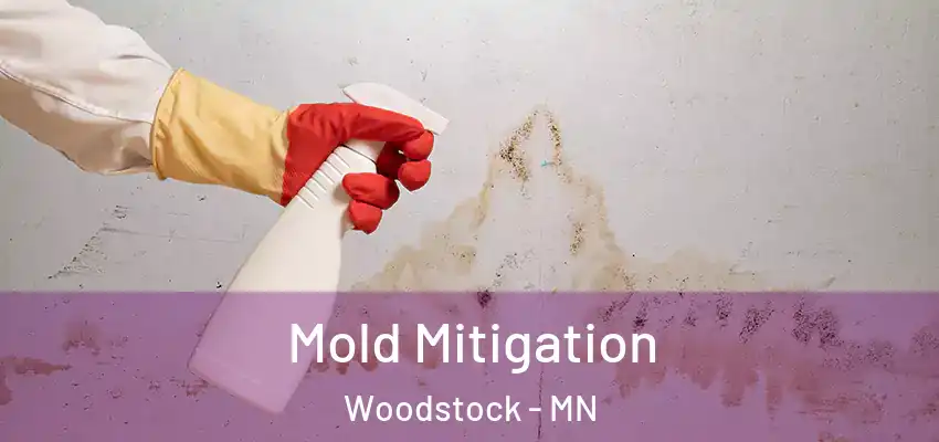  Mold Mitigation Woodstock - MN