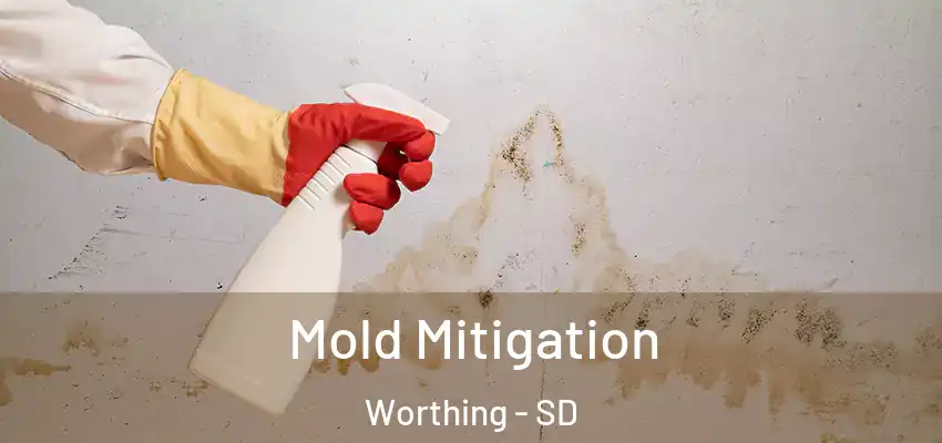 Mold Mitigation Worthing - SD