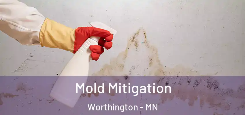 Mold Mitigation Worthington - MN
