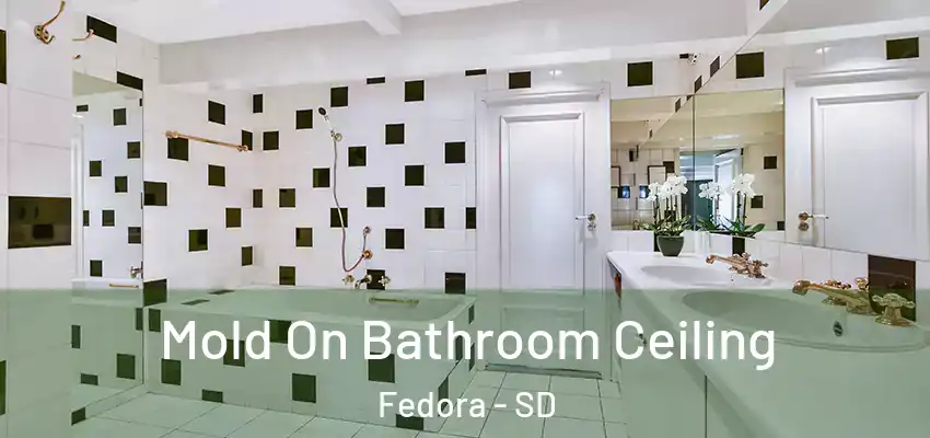  Mold On Bathroom Ceiling Fedora - SD