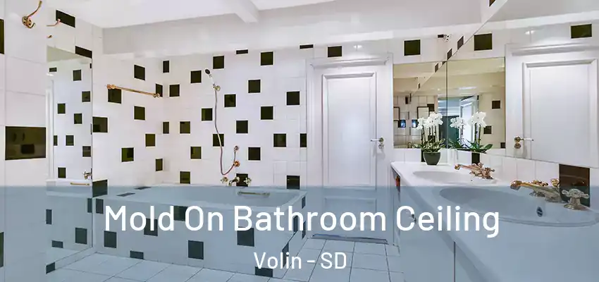 Mold On Bathroom Ceiling Volin - SD