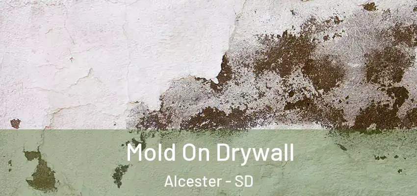  Mold On Drywall Alcester - SD