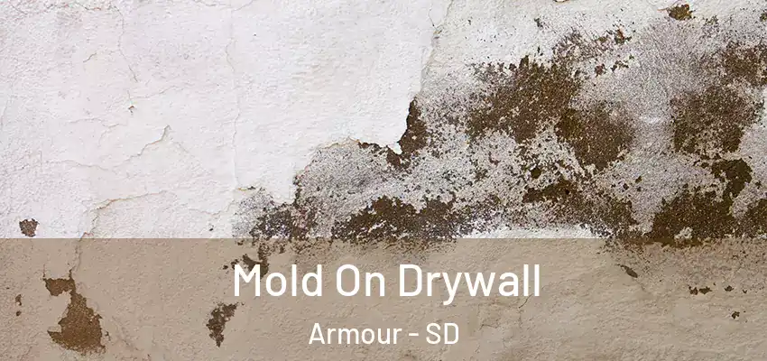Mold On Drywall Armour - SD