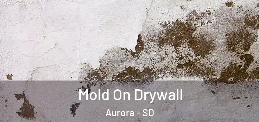  Mold On Drywall Aurora - SD