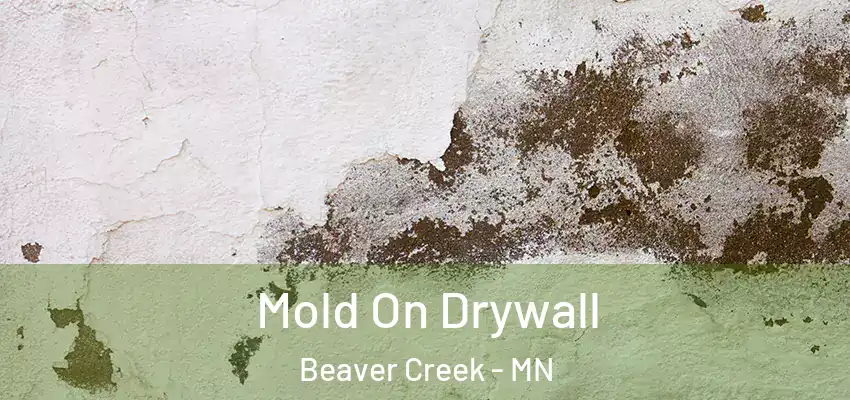  Mold On Drywall Beaver Creek - MN