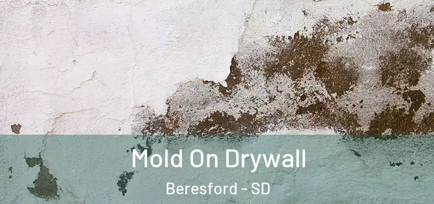  Mold On Drywall Beresford - SD