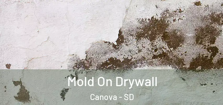  Mold On Drywall Canova - SD