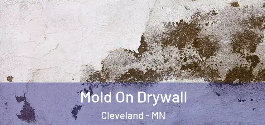 Mold On Drywall Cleveland - MN