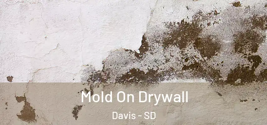  Mold On Drywall Davis - SD