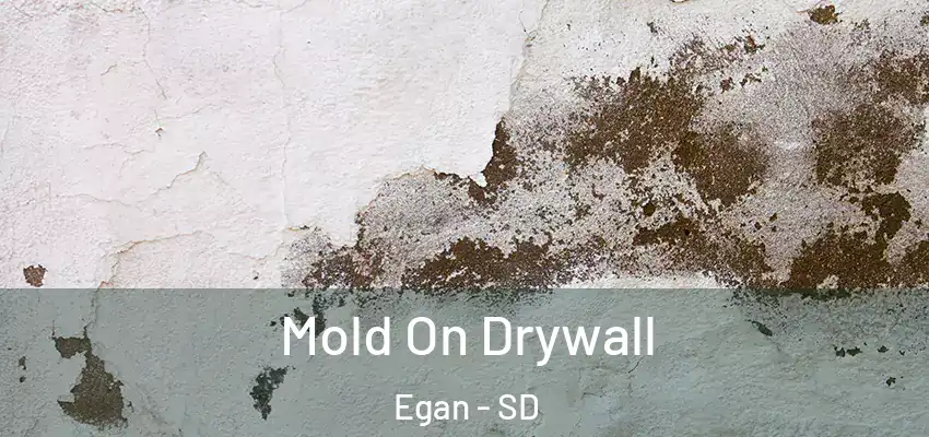  Mold On Drywall Egan - SD