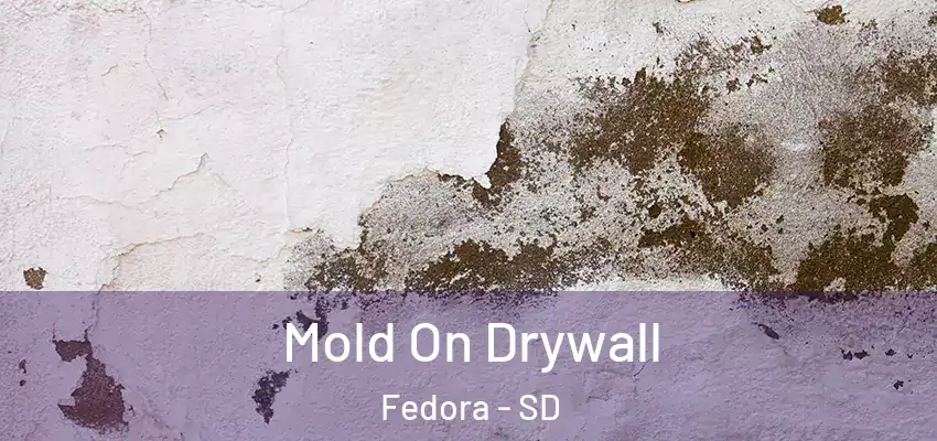  Mold On Drywall Fedora - SD