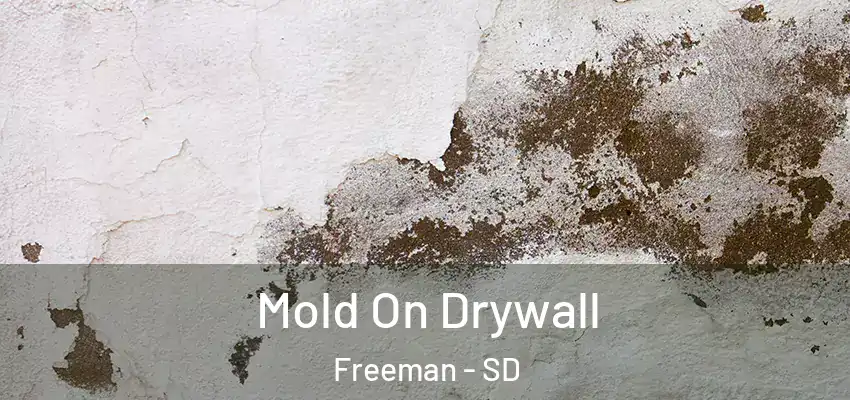  Mold On Drywall Freeman - SD