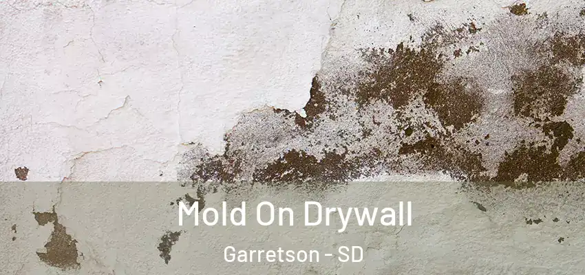 Mold On Drywall Garretson - SD