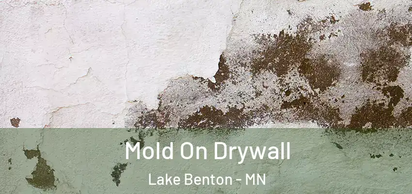 Mold On Drywall Lake Benton - MN
