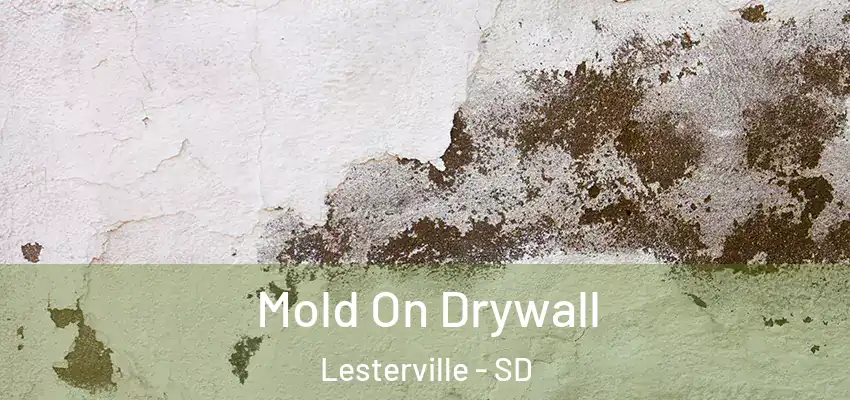 Mold On Drywall Lesterville - SD