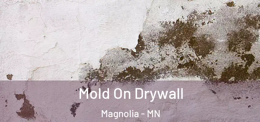 Mold On Drywall Magnolia - MN