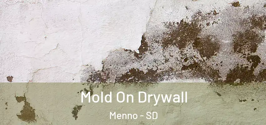  Mold On Drywall Menno - SD