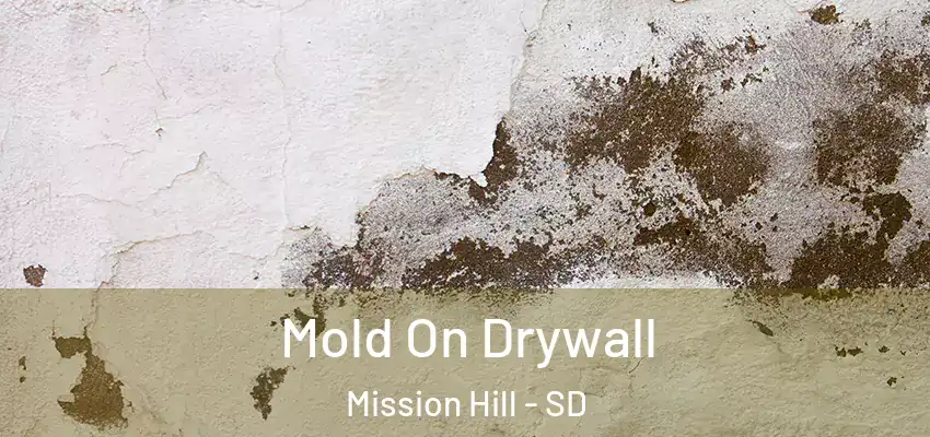 Mold On Drywall Mission Hill - SD