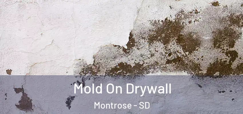 Mold On Drywall Montrose - SD