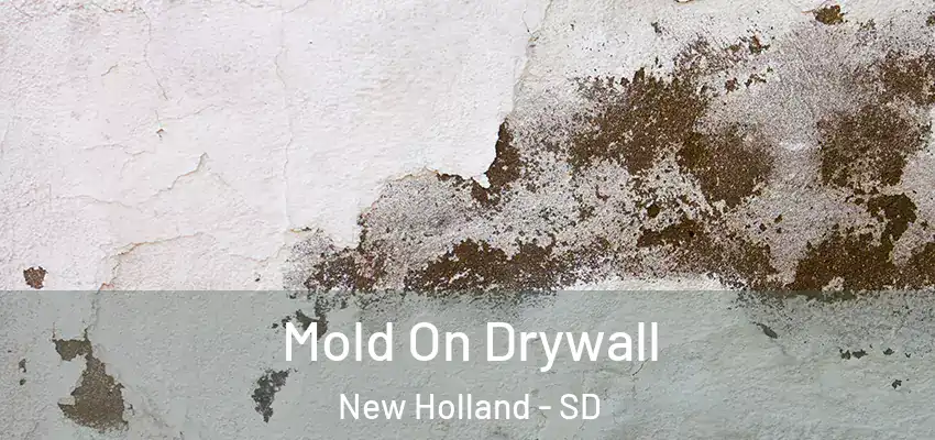  Mold On Drywall New Holland - SD