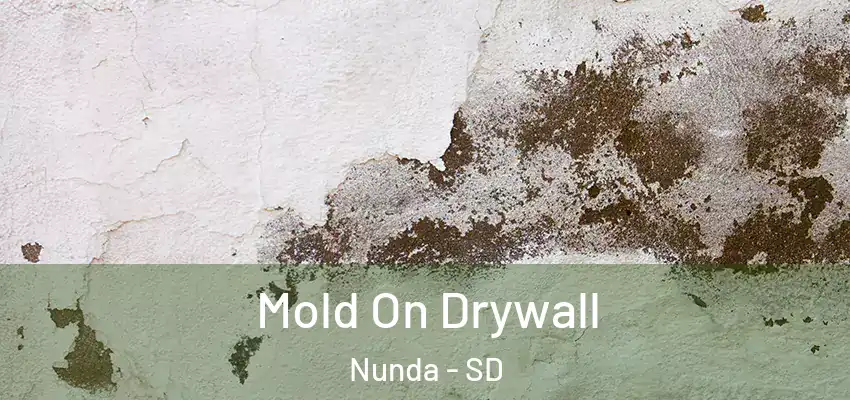 Mold On Drywall Nunda - SD